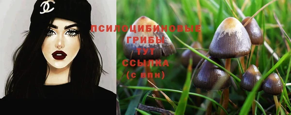 крисы Алексин
