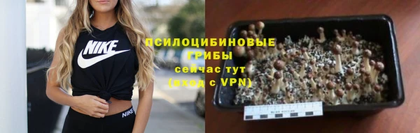 spice Алзамай