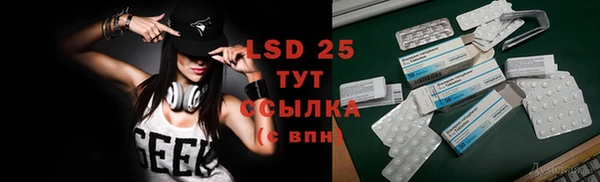 крисы Алексин