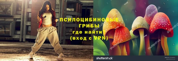 spice Алзамай